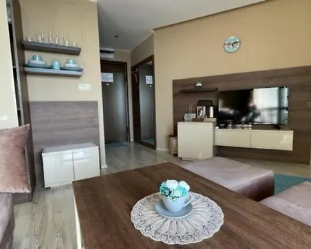 Apartment Sea View Studio In Paradiso 511 *